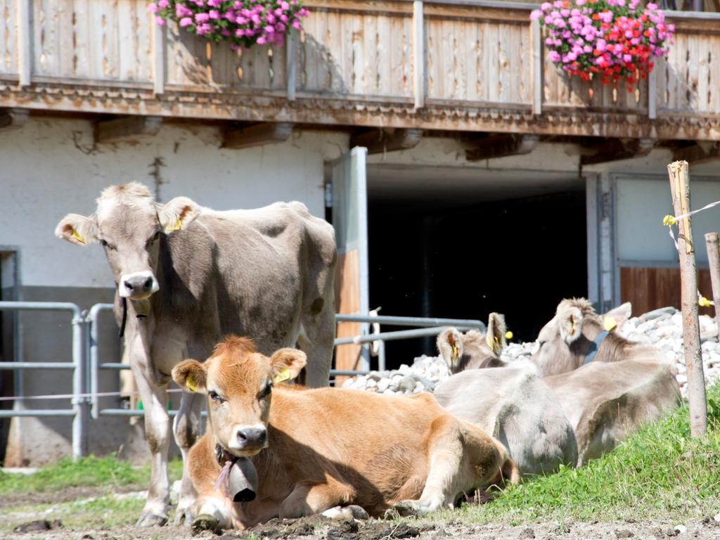 Oberbaumgartnerhof Falzes Exterior foto