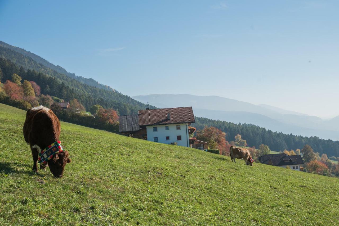 Oberbaumgartnerhof Falzes Exterior foto